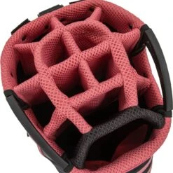 Callaway Cartbag Chev Dry 14, Pink/schwarz -Titlei Golfs Geschaft callaway cartbag chev dry 14 pinkschwarz pink 3315425 6EGyFskbgMQfXf 1280x1280