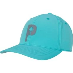 Puma Cap PTC, Grün